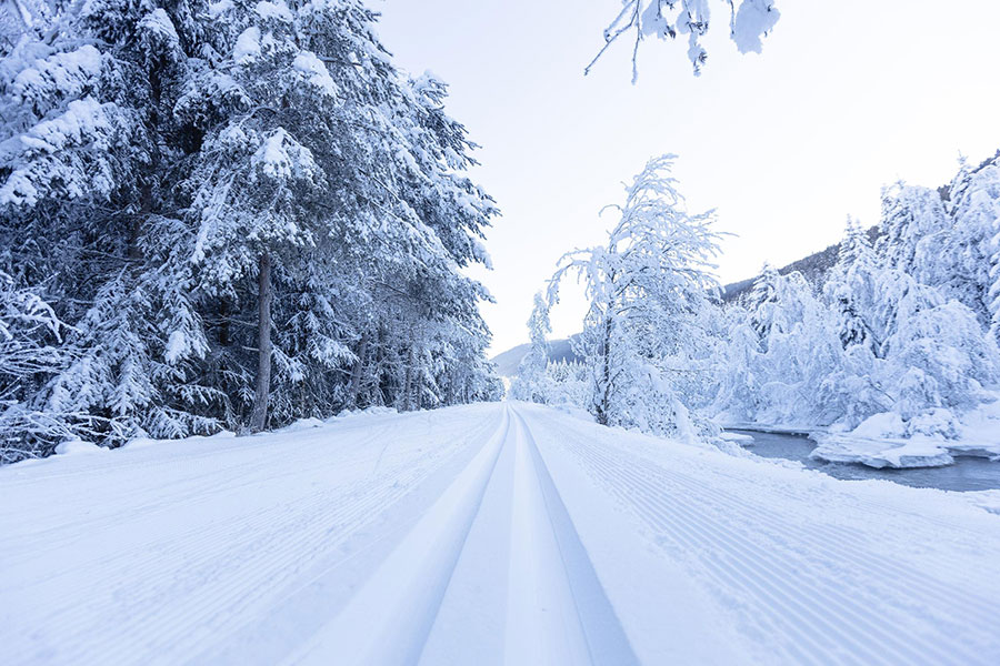 The first trails are open!